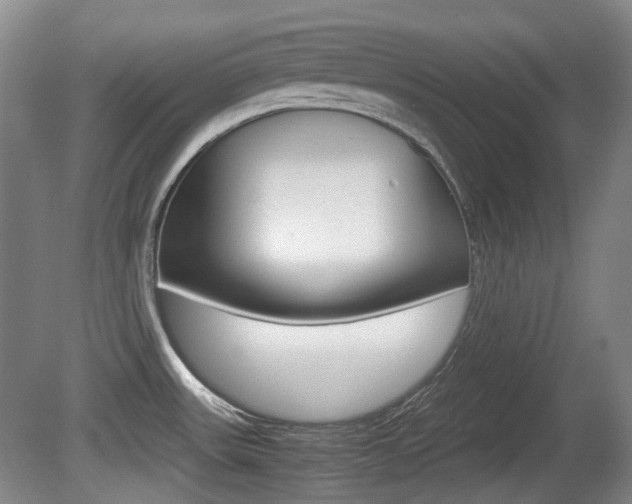 X0000080661531200612150722