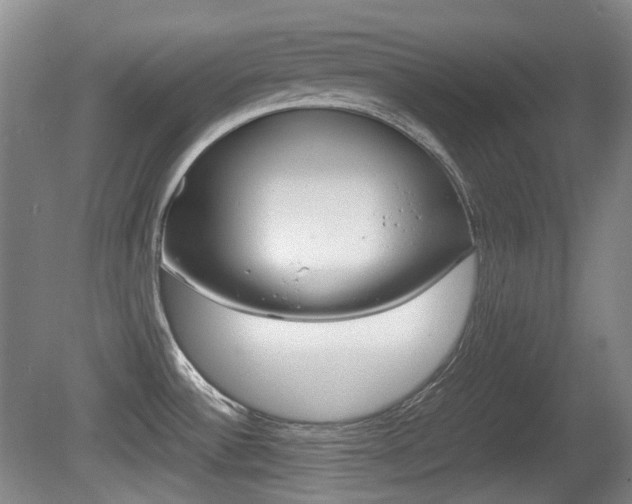 X0000080661532200612150722