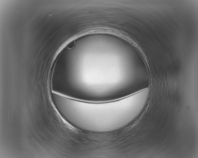 X0000080661533200612150722