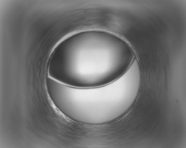 X0000080661534200612150722