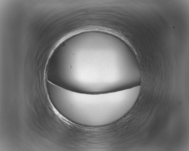 X0000080661535200612150722