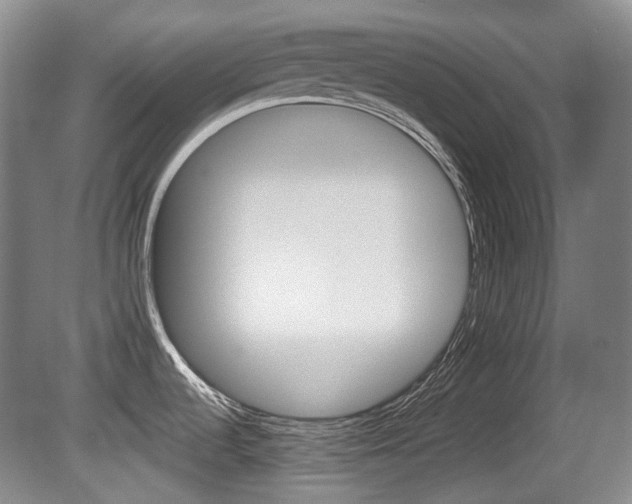 X0000080661536200612150722