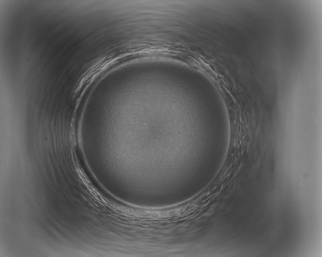 X0000080660002200612151143