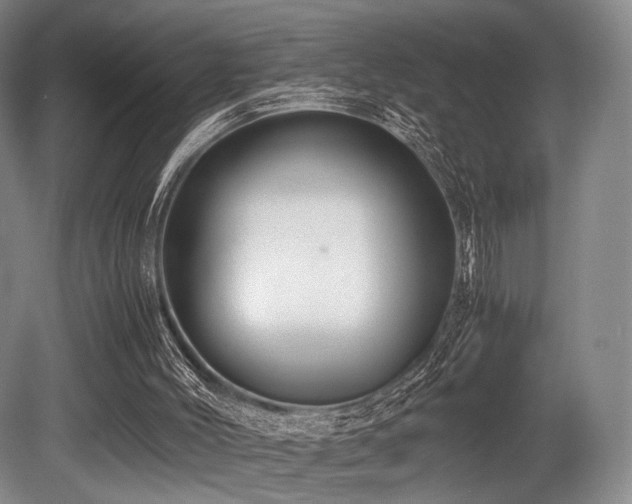 X0000080660004200612151143
