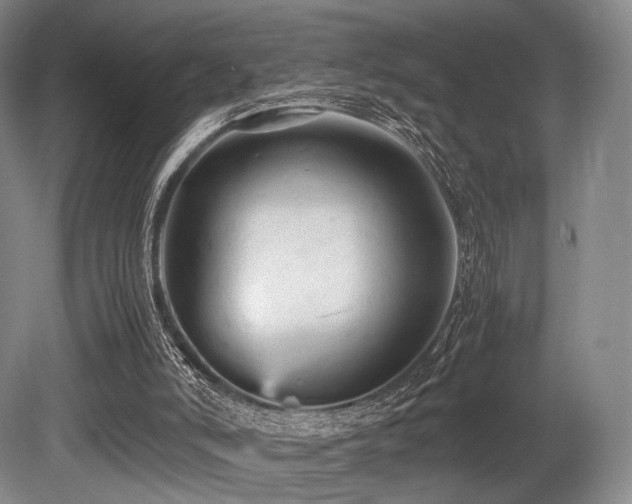X0000080660006200612151143