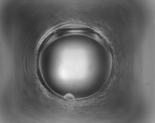 X0000080660007200612151143