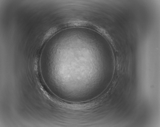 X0000080660010200612151143