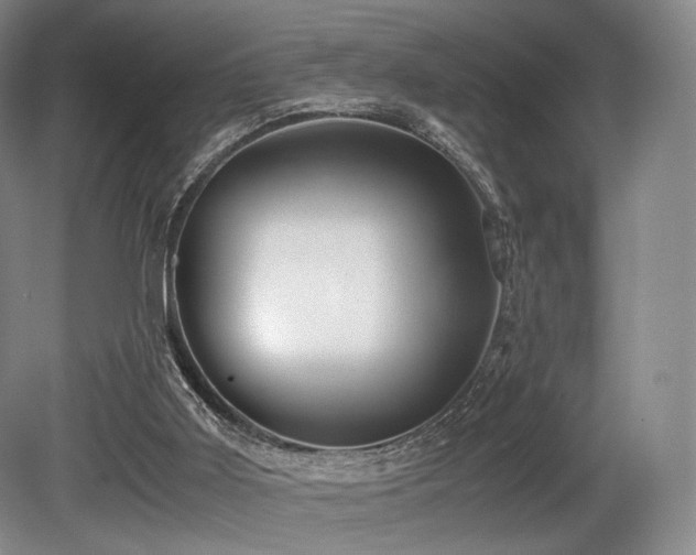 X0000080660011200612151143