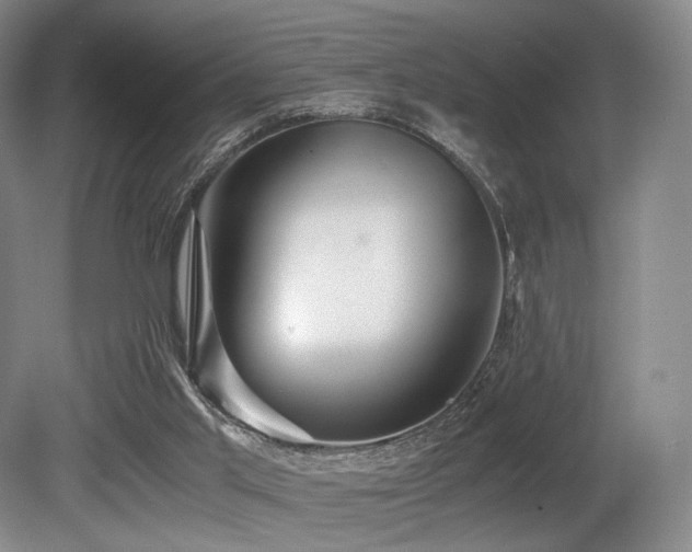 X0000080660013200612151143