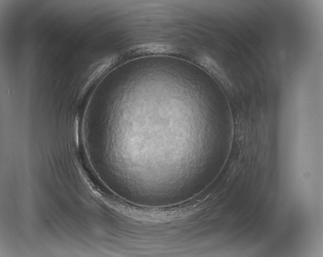 X0000080660014200612151143