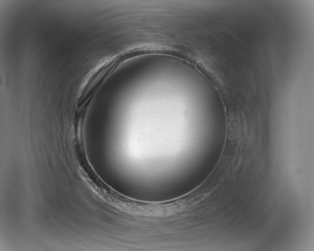X0000080660015200612151143