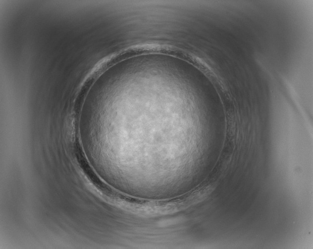 X0000080660016200612151143