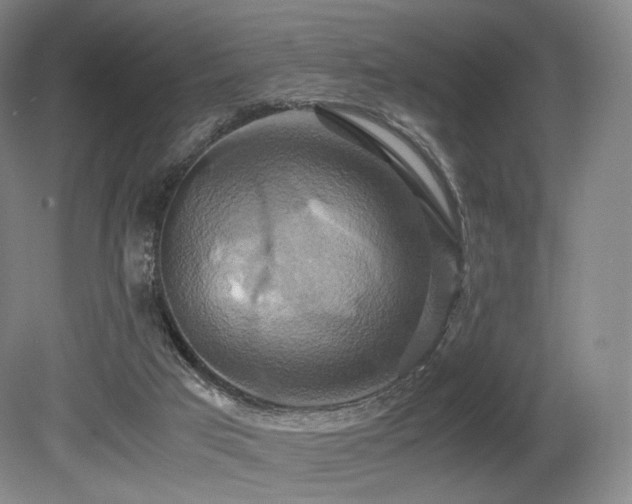 X0000080660017200612151143
