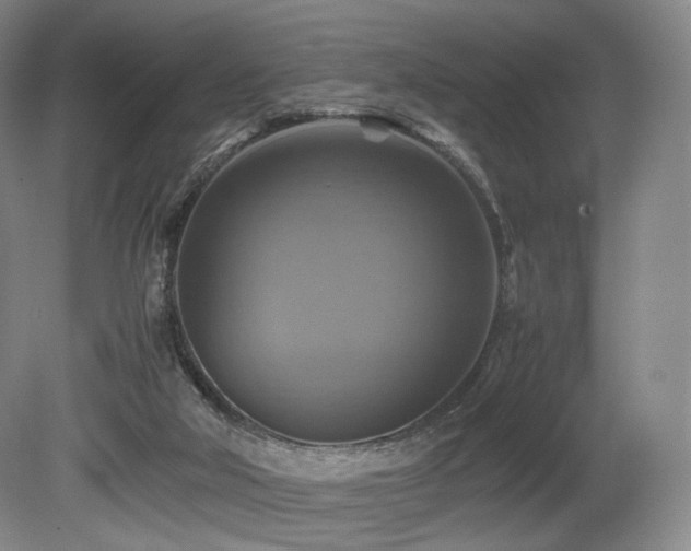 X0000080660018200612151143