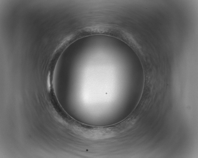 X0000080660020200612151143