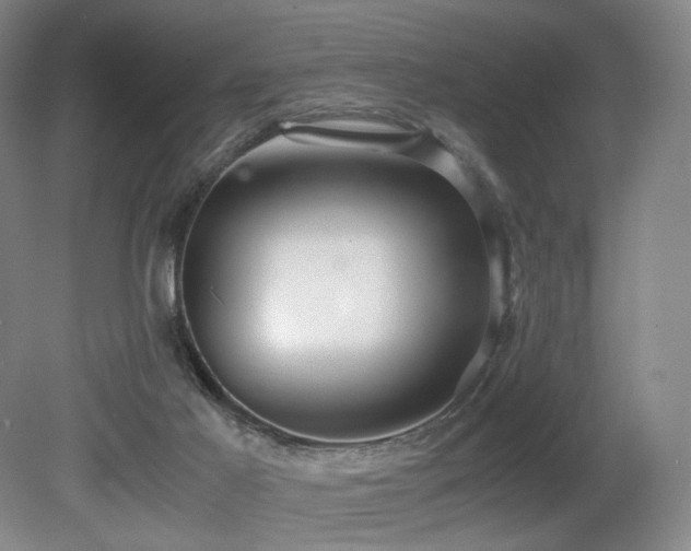 X0000080660021200612151143
