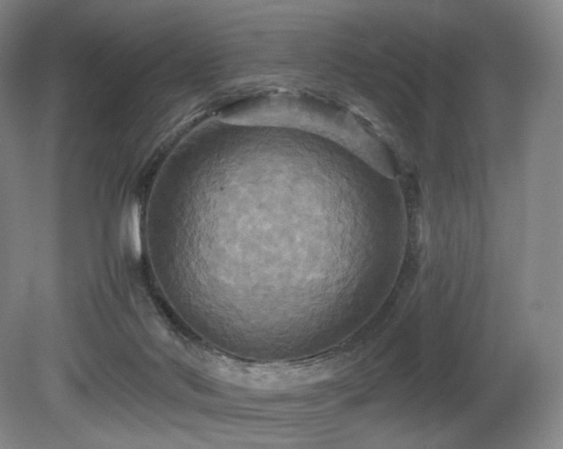 X0000080660022200612151143