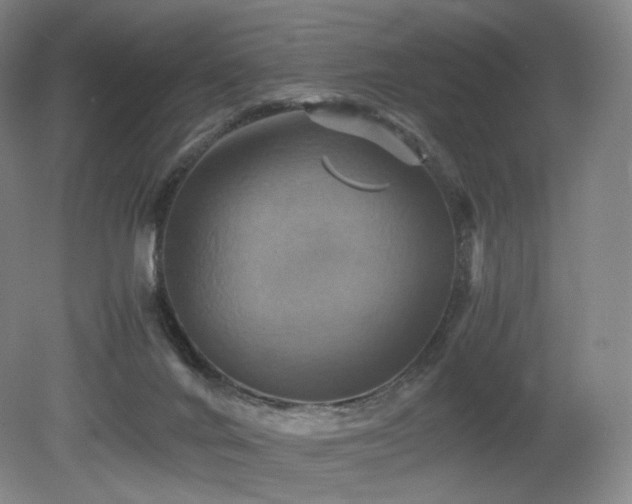 X0000080660024200612151143