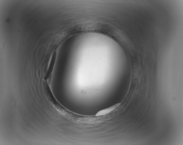 X0000080660025200612151143