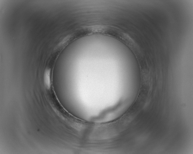 X0000080660028200612151142