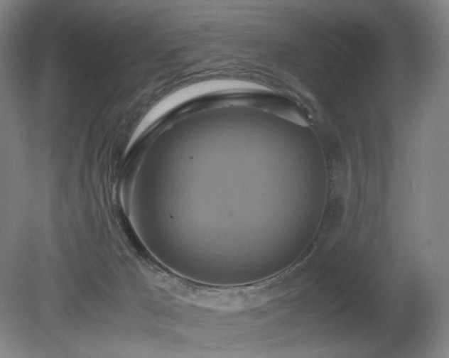 X0000080660029200612151142