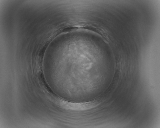 X0000080660030200612151142