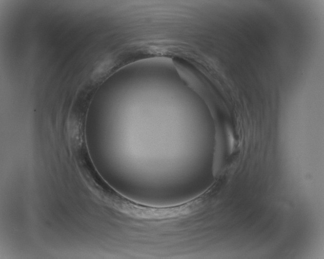 X0000080660031200612151142