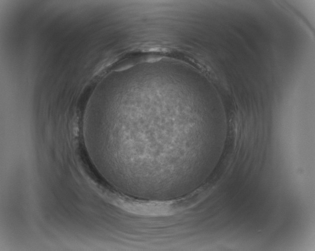 X0000080660032200612151142