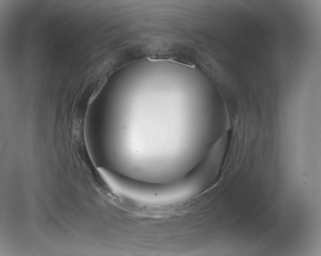X0000080660033200612151142
