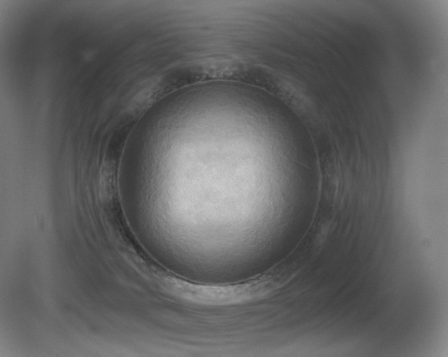 X0000080660034200612151142