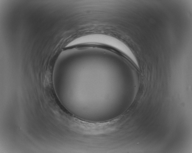 X0000080660035200612151142