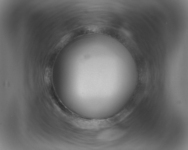 X0000080660036200612151142