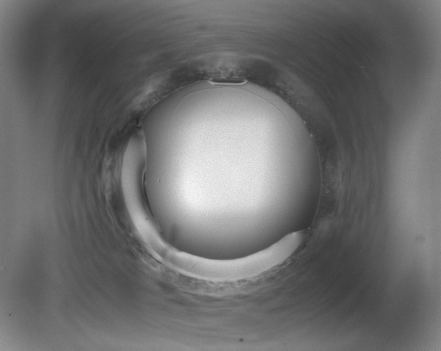 X0000080660037200612151142