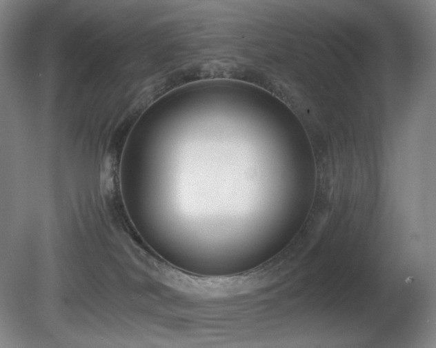 X0000080660038200612151142