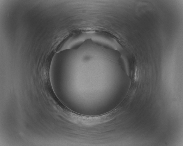 X0000080660039200612151142