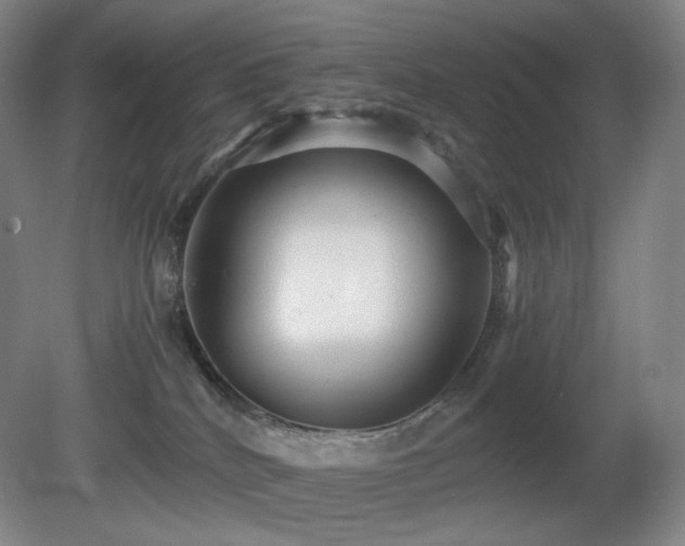 X0000080660040200612151142