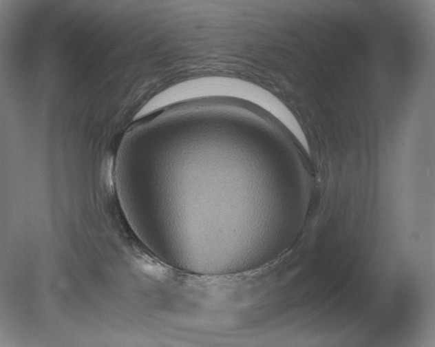 X0000080660041200612151142