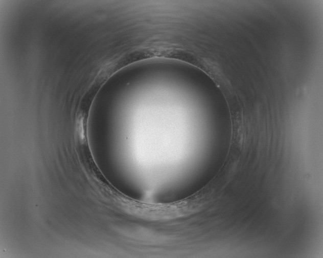 X0000080660042200612151142