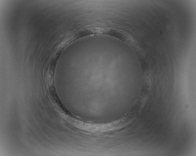 X0000080660043200612151142