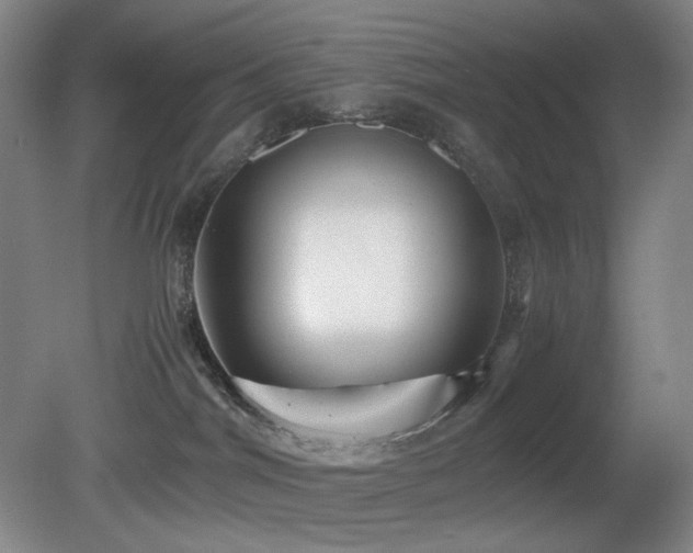X0000080660044200612151142