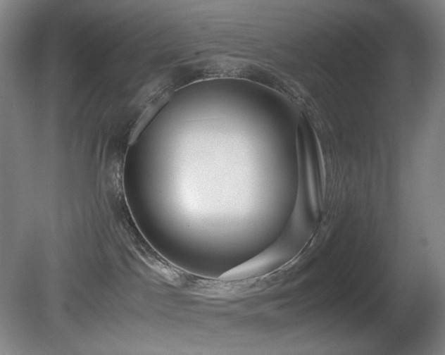X0000080660045200612151142