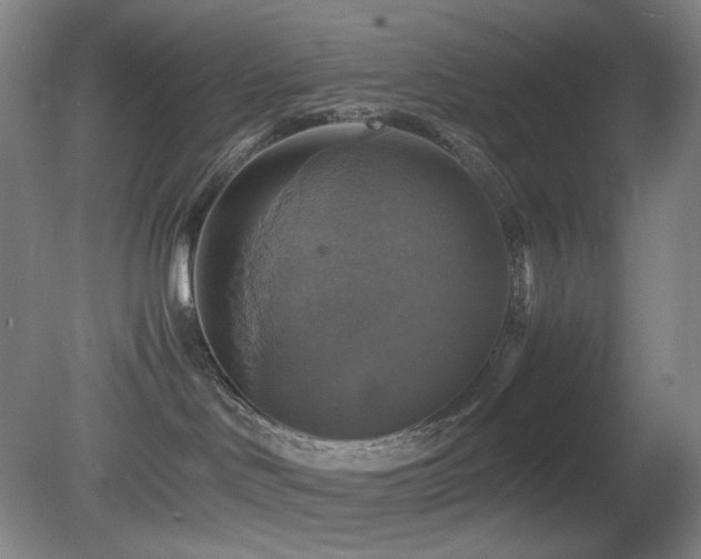 X0000080660046200612151142