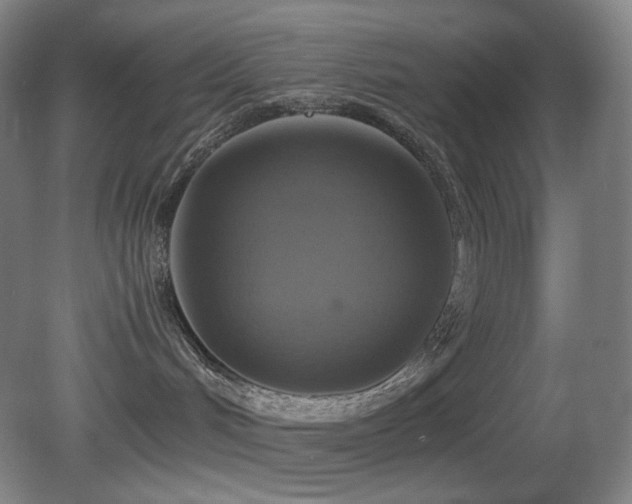X0000080660048200612151142
