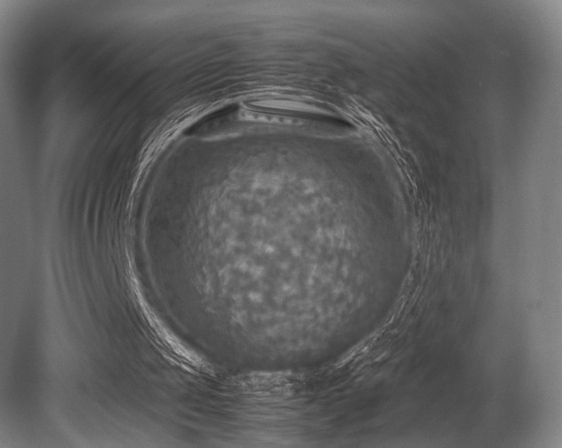 X0000080660049200612151141