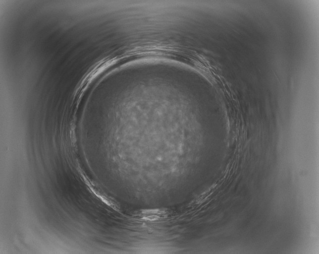 X0000080660050200612151141