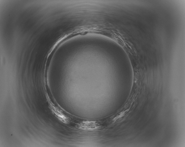 X0000080660052200612151141