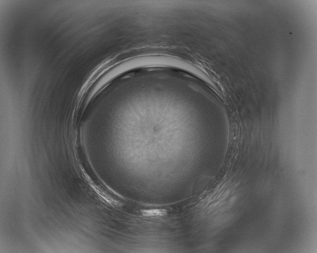 X0000080660053200612151141