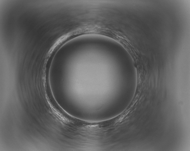 X0000080660054200612151141