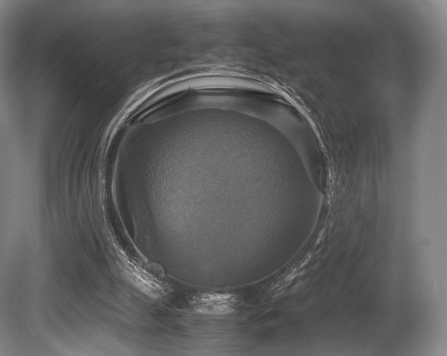X0000080660055200612151141