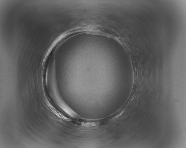 X0000080660056200612151141